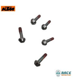 Tornillo Pedal De Cambio y Freno Gris Duke 200 / 390 Original KTM