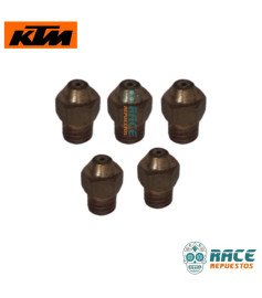 Tornillo Boquerel Aceite