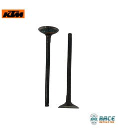 Válvula De Escape Duke 250 / Adventure 250 / Husqvarna 250 Original KTM