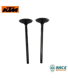 Válvulas de Admisión Duke 250 / Adventure 250/390 / Husqvarna 250 Original KTM