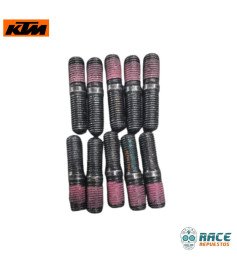 Tornillos Gato Lateral Duke / Rc / Adventure Original KTM 
