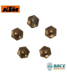 Tornillo Imán Gato Lateral Duke / RC / Adventure Original KTM 