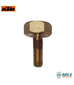 Tornillo Imán Gato Lateral Svartpilen 200 / RC 200 Original KTM 