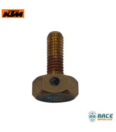 Tornillo Imán Gato Lateral Svartpilen 200 / RC 200 Original KTM 