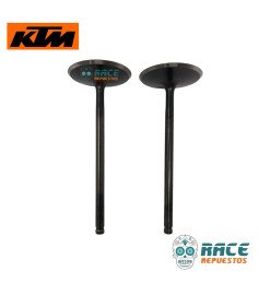 Válvulas de admisión Duke 390 / RC 390 / Adventure 390 Original KTM 