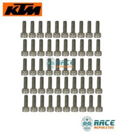  TORNILLO DE CABEZA HUECA