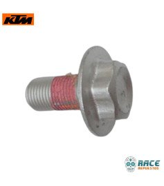 Tornillo Cabeza Espiga