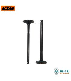 válvula de admisión