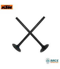 válvula de admisión