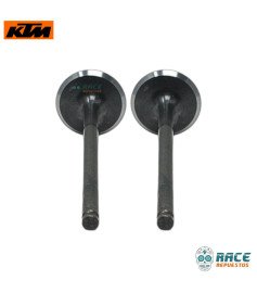 válvula de admisión